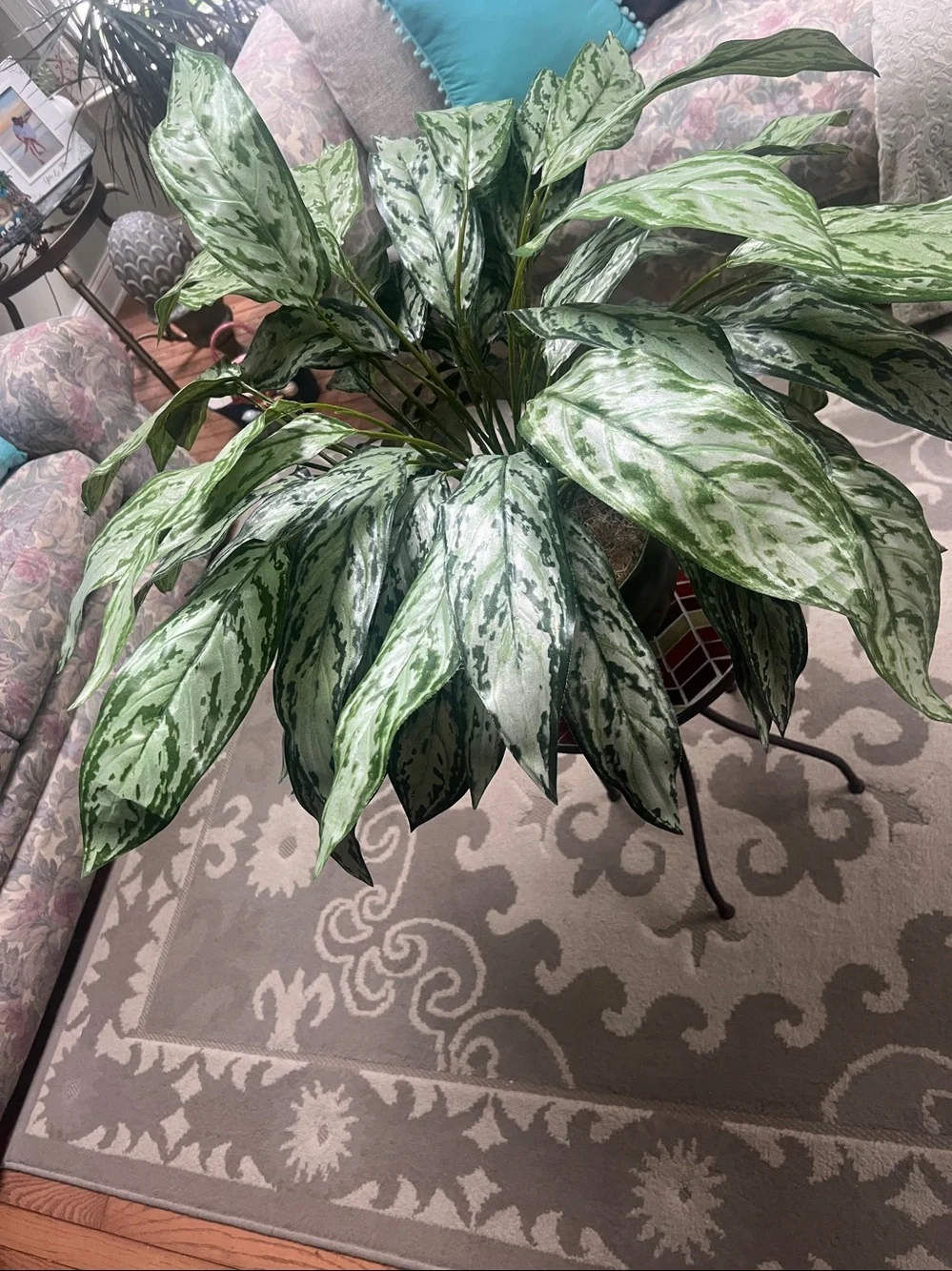 Chinese Evergreen (Aglaonema Decorative Faux Green Variegated Houseplant in Vase
